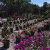 Orchid Bay Nursery