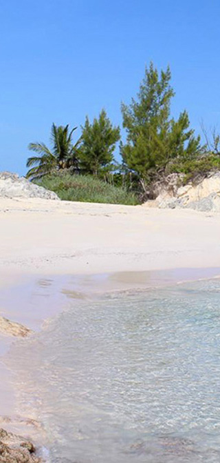 The beach in Orchid Bay