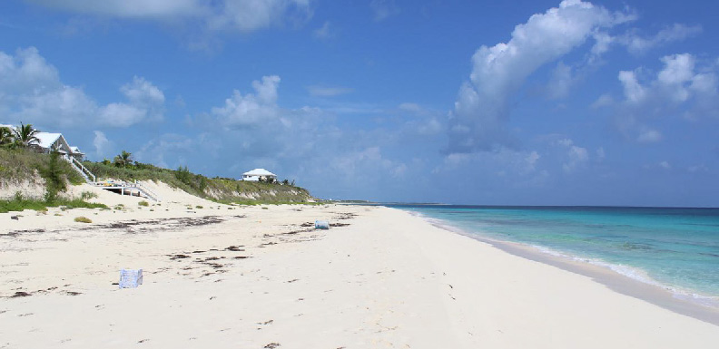 The beach at Orchid Bay