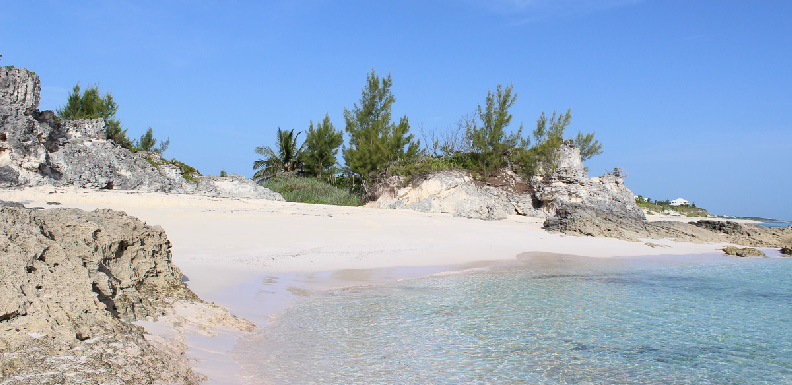 The beach at Orchid Bay