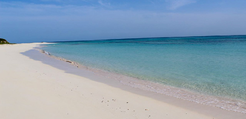 The beach at Orchid Bay