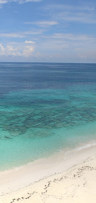 The beach in Orchid Bay