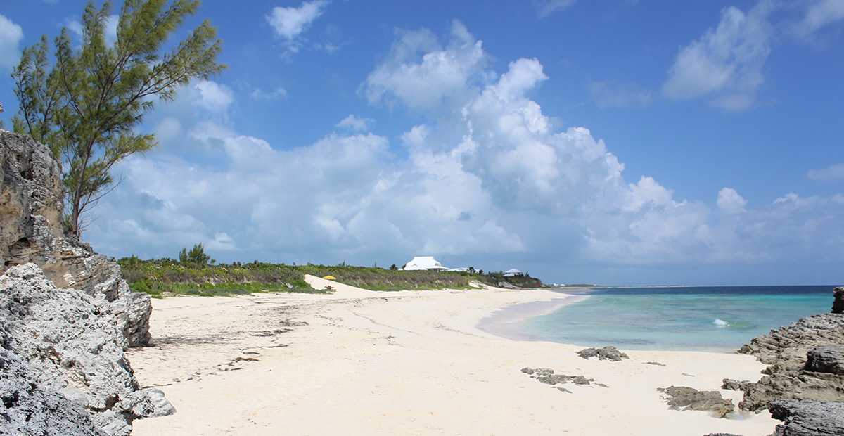 The beach at Orchid Bay