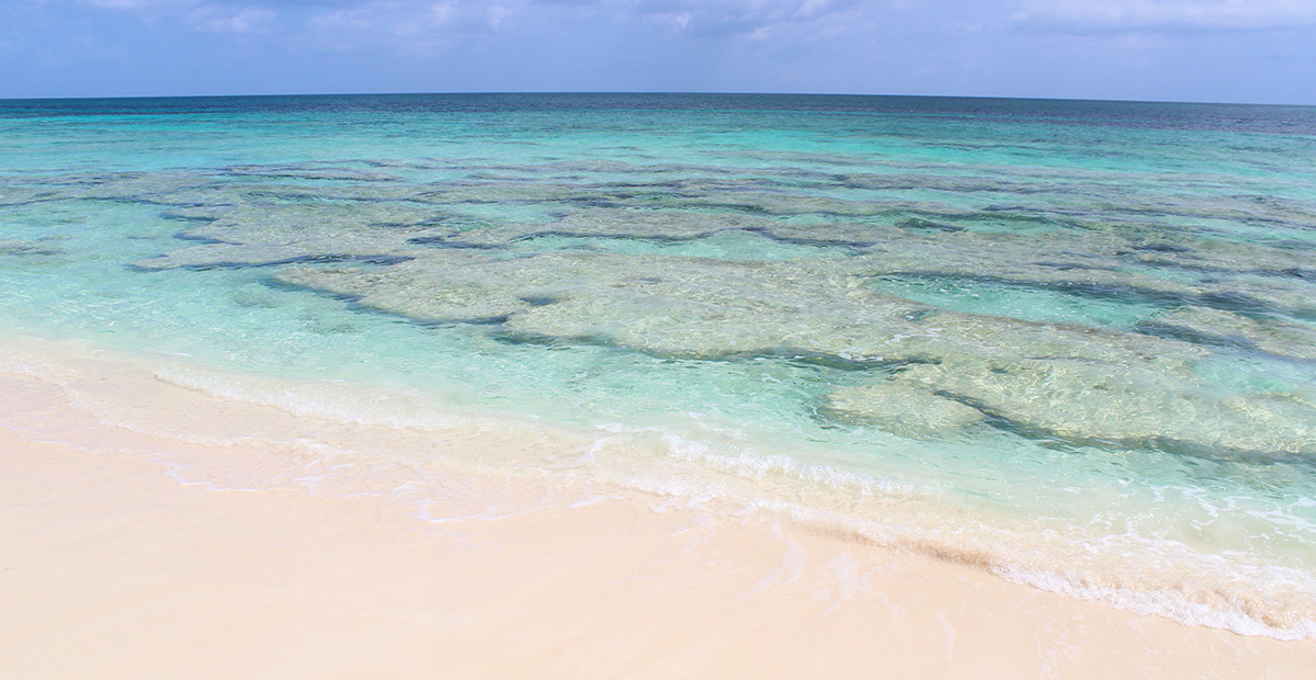 The crystal clear water at the beach of Orchid Bay