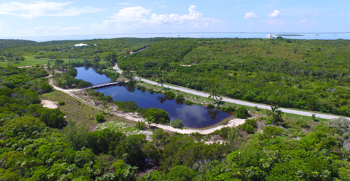 The pond at Orchid Bay