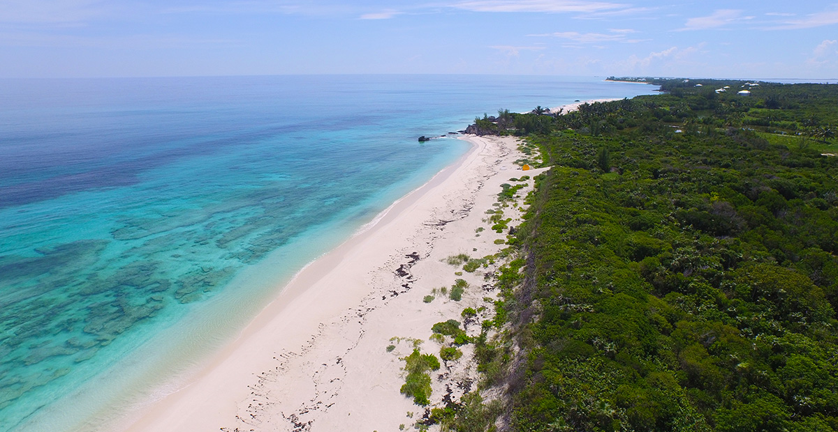 The beach at Orchid Bay