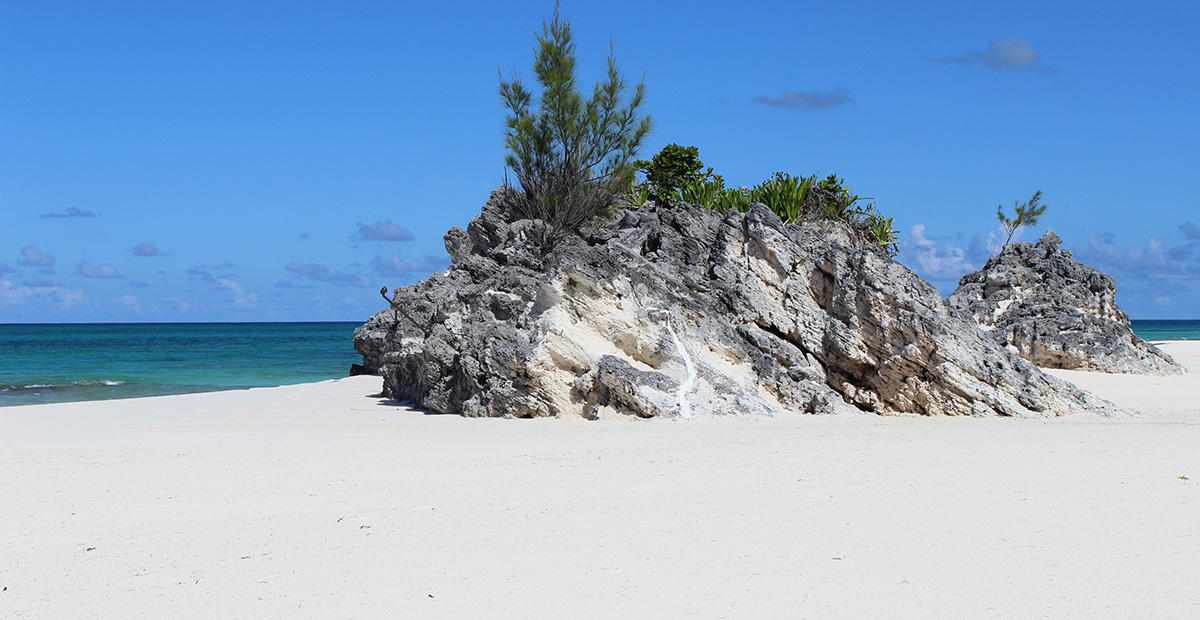 The beach at Orchid Bay